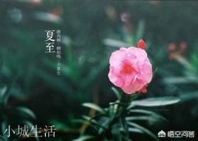 关于夏至的传统活动和习俗有哪些？
