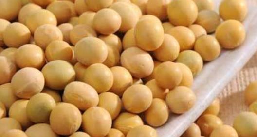 豆类食物可以帮助到你 都希望自己肌肤红润有光泽