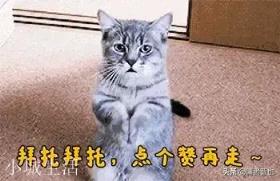 《笑傲江湖》小说，人们对左冷禅为什么恨不起来？