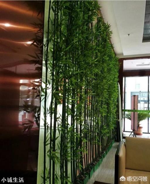 竹子应该怎样应用在家居装修中？