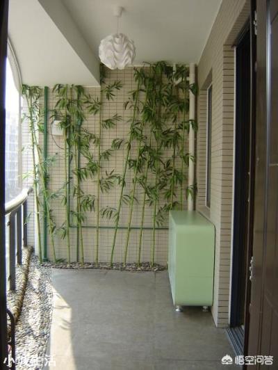 竹子应该怎样应用在家居装修中？