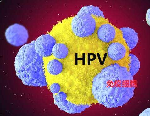 男的也会感染HPV么？