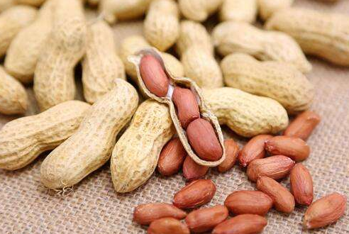 升血小板的水果有哪些