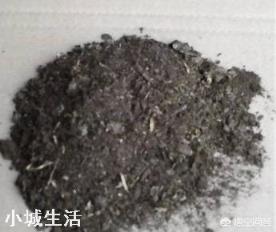 花卉市场花盆里是什么土？有哪些利于植物生长的元素？