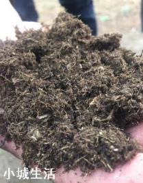 花卉市场花盆里是什么土？有哪些利于植物生长的元素？