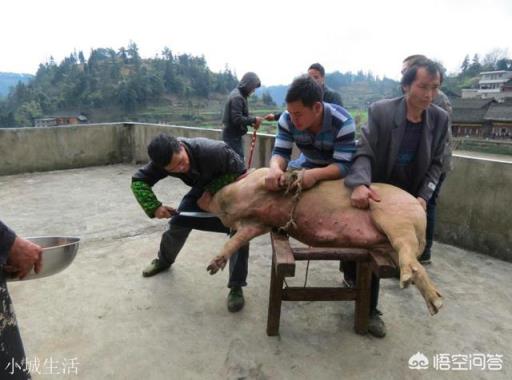 以前农村里的屠夫经常帮人杀猪，酒肉招待日子过得很好，但为何年纪稍大就容易患病？