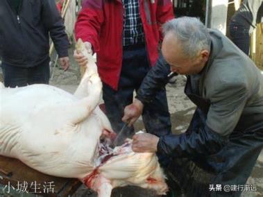以前农村里的屠夫经常帮人杀猪，酒肉招待日子过得很好，但为何年纪稍大就容易患病？