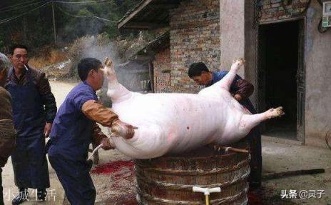 以前农村里的屠夫经常帮人杀猪，酒肉招待日子过得很好，但为何年纪稍大就容易患病？
