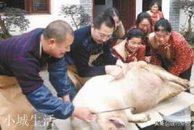 以前农村里的屠夫经常帮人杀猪，酒肉招待日子过得很好，但为何年纪稍大就容易患病？