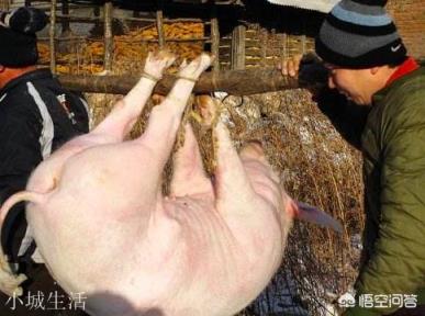 以前农村里的屠夫经常帮人杀猪，酒肉招待日子过得很好，但为何年纪稍大就容易患病？