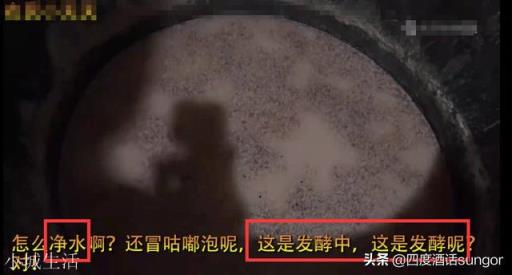 一二线浓香白酒的中低端档酒只卖三四十，从执行标准和配料来看都是纯粮酒，是真的么？