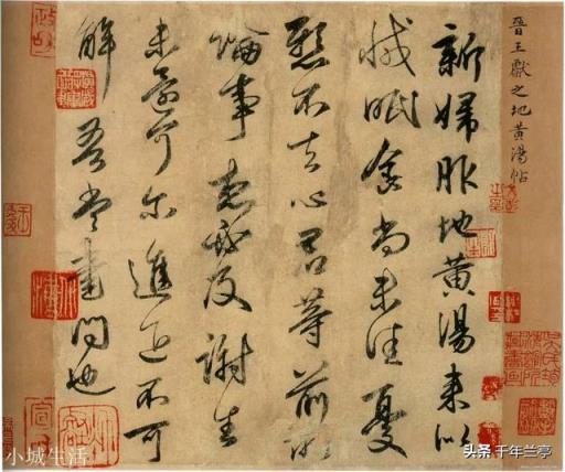 书法史上,就楷书与草书而言,哪种字体最先出现?