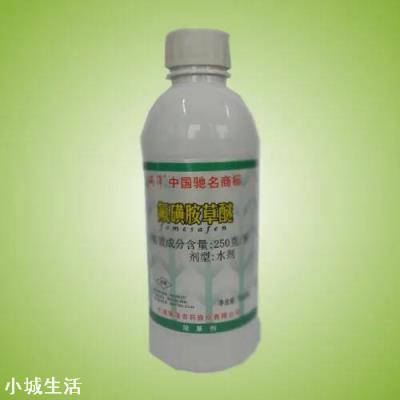 翻地前喷了精喹禾灵和氟磺胺草醚能种芝麻吗？