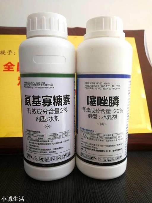 氨基寡糖素预防病毒病稀释多少倍?