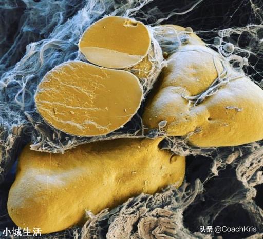 有氧运动只有坚持到30分钟后才开始燃烧脂肪吗？