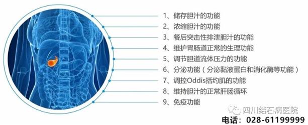 还在犹豫“切胆”还是“保胆”?四川结石病医院告诉你答案!