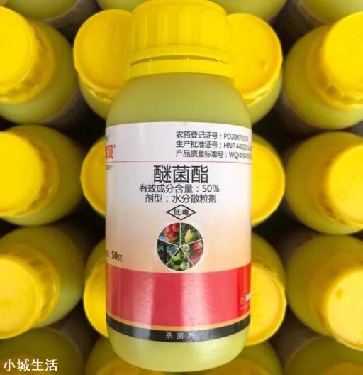 醚菌酯可防治什么病？