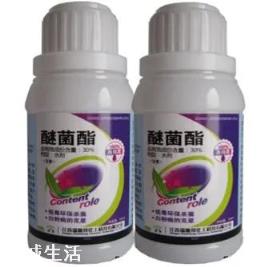醚菌酯可防治什么病？