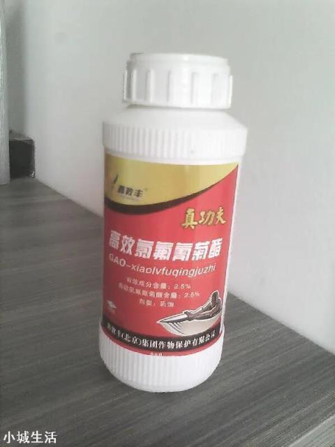 青菜螟虫用什么农药？