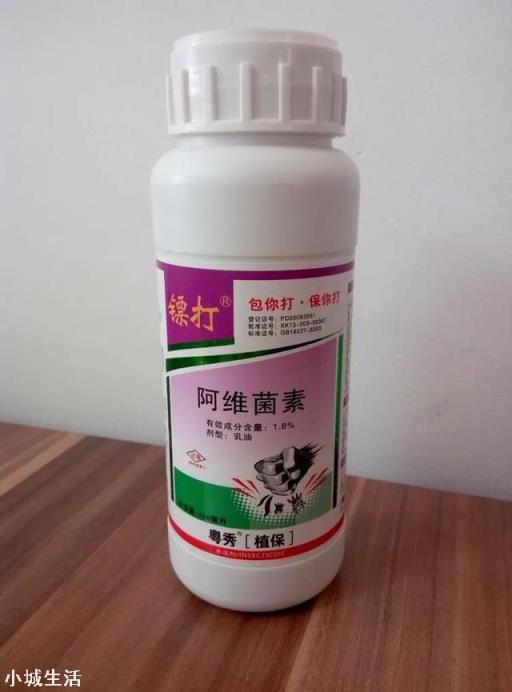 青菜螟虫用什么农药？