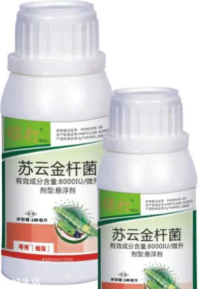 青菜螟虫用什么农药？