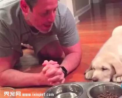 狗狗护食行为太可怕，几招轻松改掉！