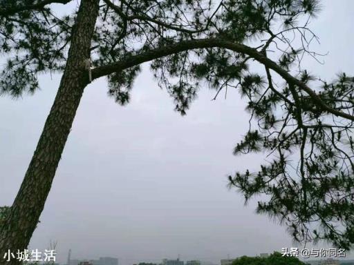 到底爱运动的人长寿还是躺着的人长寿？