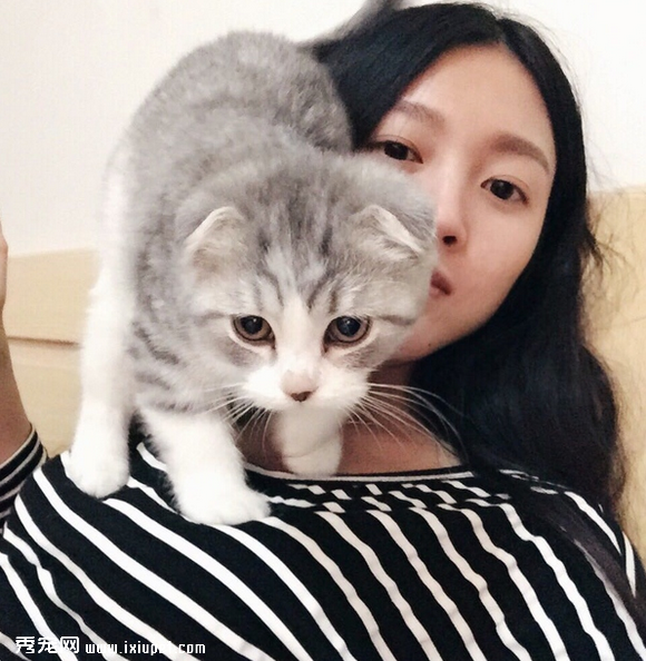 养一只黏人的猫咪是怎样的体验!