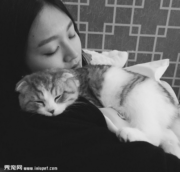 养一只黏人的猫咪是怎样的体验!