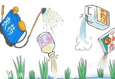 高效氯氰菊酯加阿维菌素，苏云杆菌防沿什么虫？