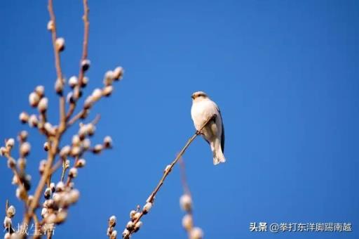 山東現在的大手筆規劃出來了作為農民你愿意上樓嗎大家一起談談心中真實的想法？