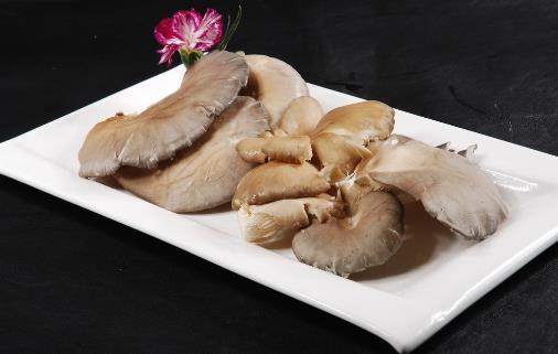 痤疮的食疗饮食方推荐 脸上反复长痘痘的原因