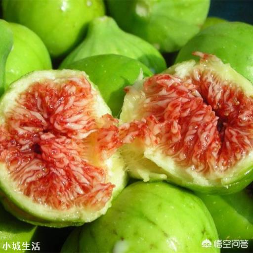 在农村庭院如何种植无花果？