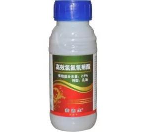 氯氰菊酯能打玉米苗吗？