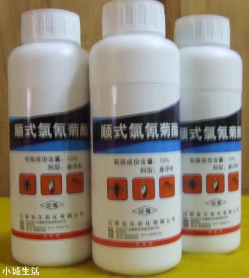 氯氰菊酯能打玉米苗吗？