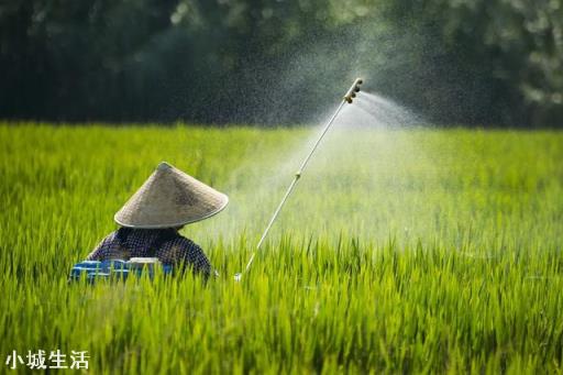有些农民打农药的时候，往往在药桶里面加一点醋，加醋有什么用呢？