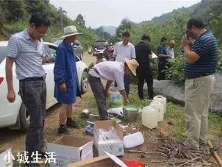 有些农民打农药的时候，往往在药桶里面加一点醋，加醋有什么用呢？