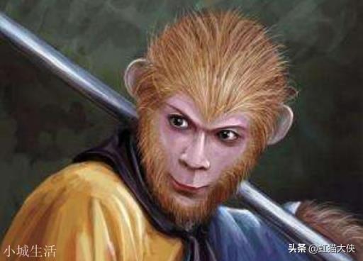 孙悟空的年龄是多少？