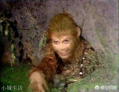 孙悟空的年龄是多少？