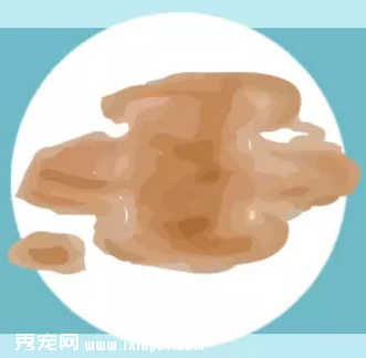 寵物健康一看“便”知!