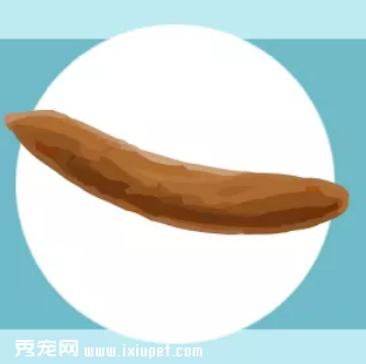 寵物健康一看“便”知!