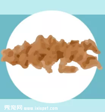 寵物健康一看“便”知!