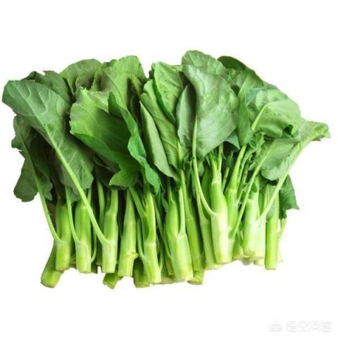 家常菜的做法有哪些推荐？