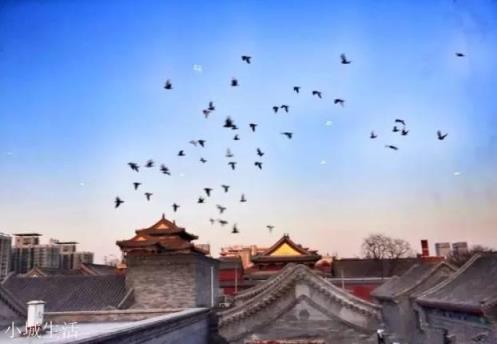 去北京旅行哪些胡同必须要逛？