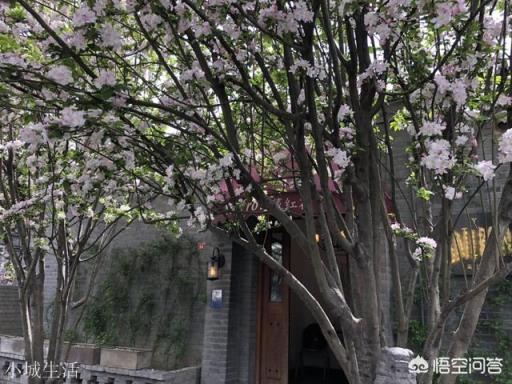 去北京旅行哪些胡同必须要逛？