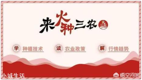 果园可以用草甘膦吗？最适合果园的除草剂是什么？