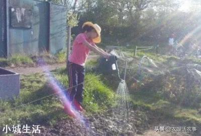 韭菜上什么肥料长的黑亮又粗壮？
