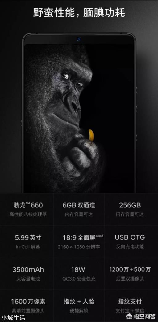 锤子手机值得入手吗?