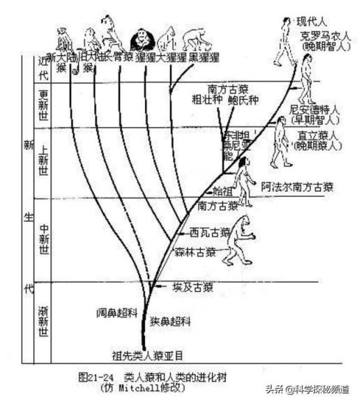 日本海底曾发现玲珑塔，距今已有一万年，人类真的是第一批文明吗？