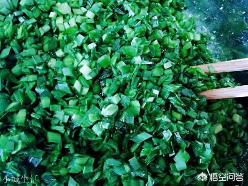 韭菜餡怎么調比較好吃？